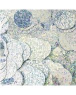 Silber holo 1cm.jpg