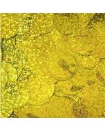Gold 1cm holo.jpg