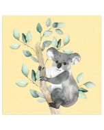 koala.jpg