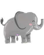 25207-P_600x600.png