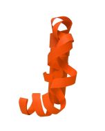307-01-01_7902_1920x1920_11683_750x1000
