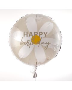 hb gänseblümchen
