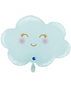 G72119-P.png