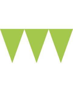 Wimpelkette kiwi Papier